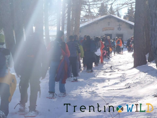  Team building de raquetas de nieve 